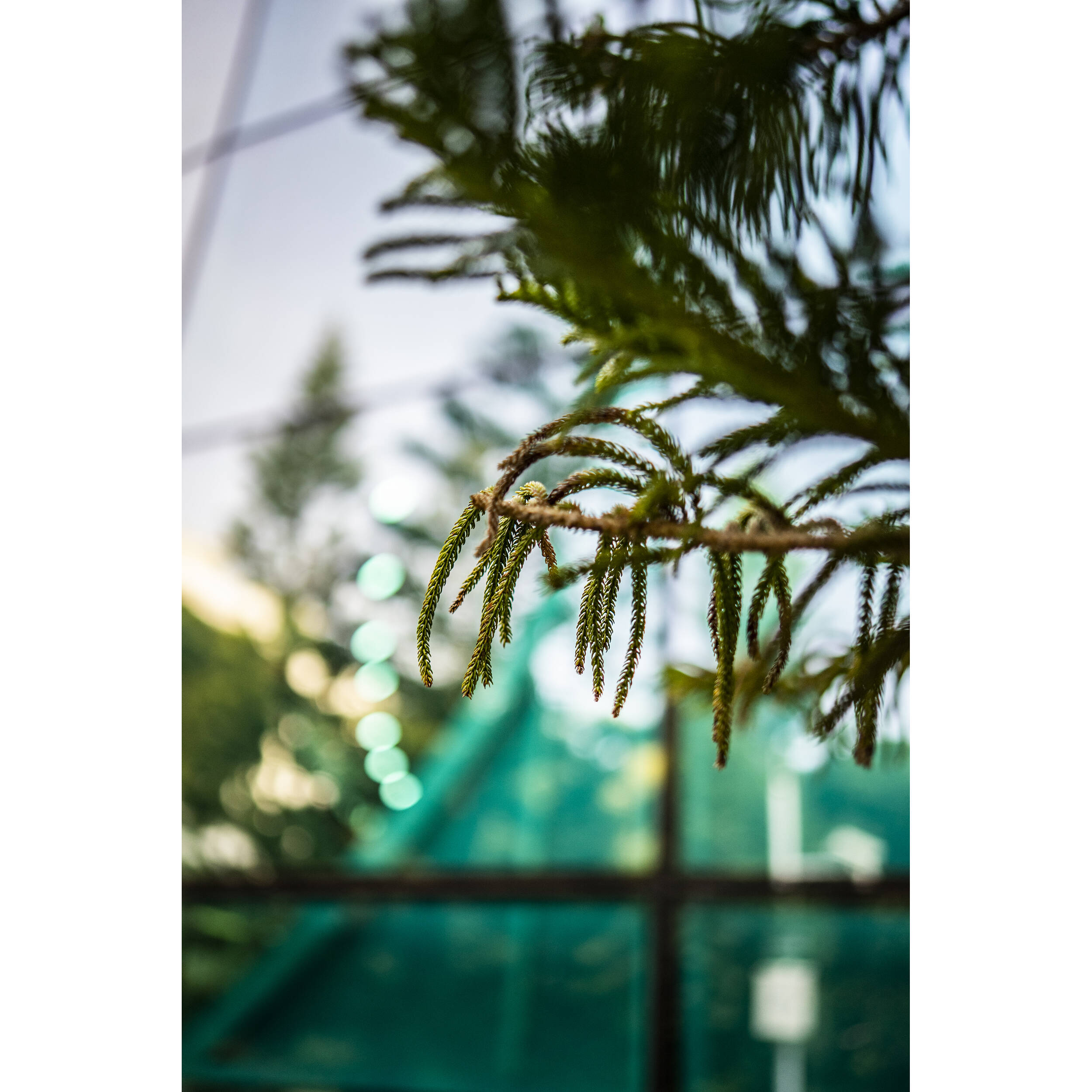 VILTROX Lens AF 50MM F1.8 E For Sony