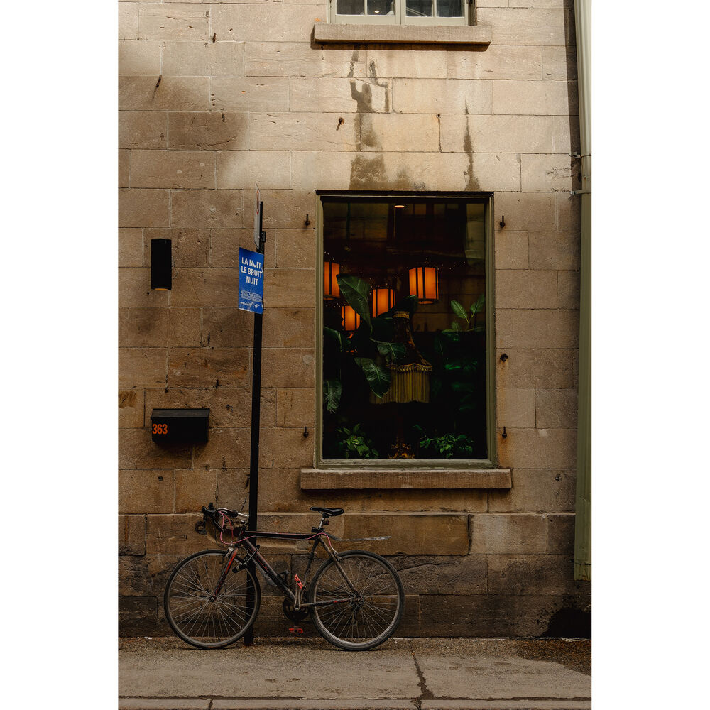 FUJIFILM X-T50 Mirrorless Camera with XF 16-50mm f/2.8-4.8 Lens (Silver) (Silver)