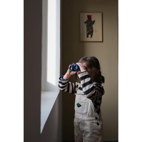 FUJIFILM X-T50 Mirrorless Camera with XF 16-50mm f/2.8-4.8 Lens (Silver) (Silver)