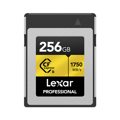 Lexar256GB Professional CFexpress Type-B Memory Card 1750MB/Sec