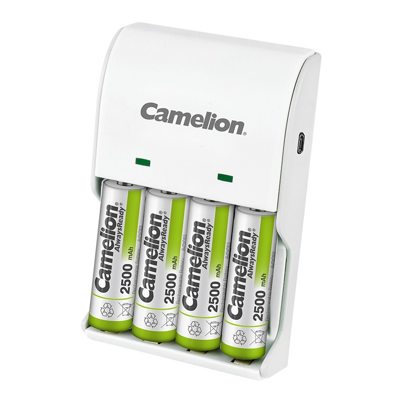 TT560 II + BC-1002F - Charger 2500 Camelion