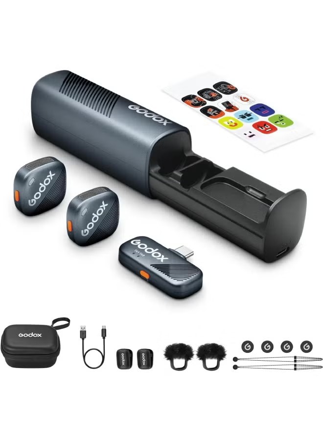 Godox Cube-SCK2 Type-C Microphone Black (Black)