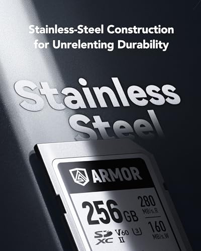 Lexar ARMOR SD 256GB Silver Pro 280MB/s V60