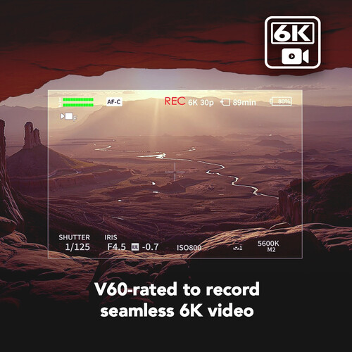 Lexar ARMOR SD 256GB Gold Pro 280MB/s V60