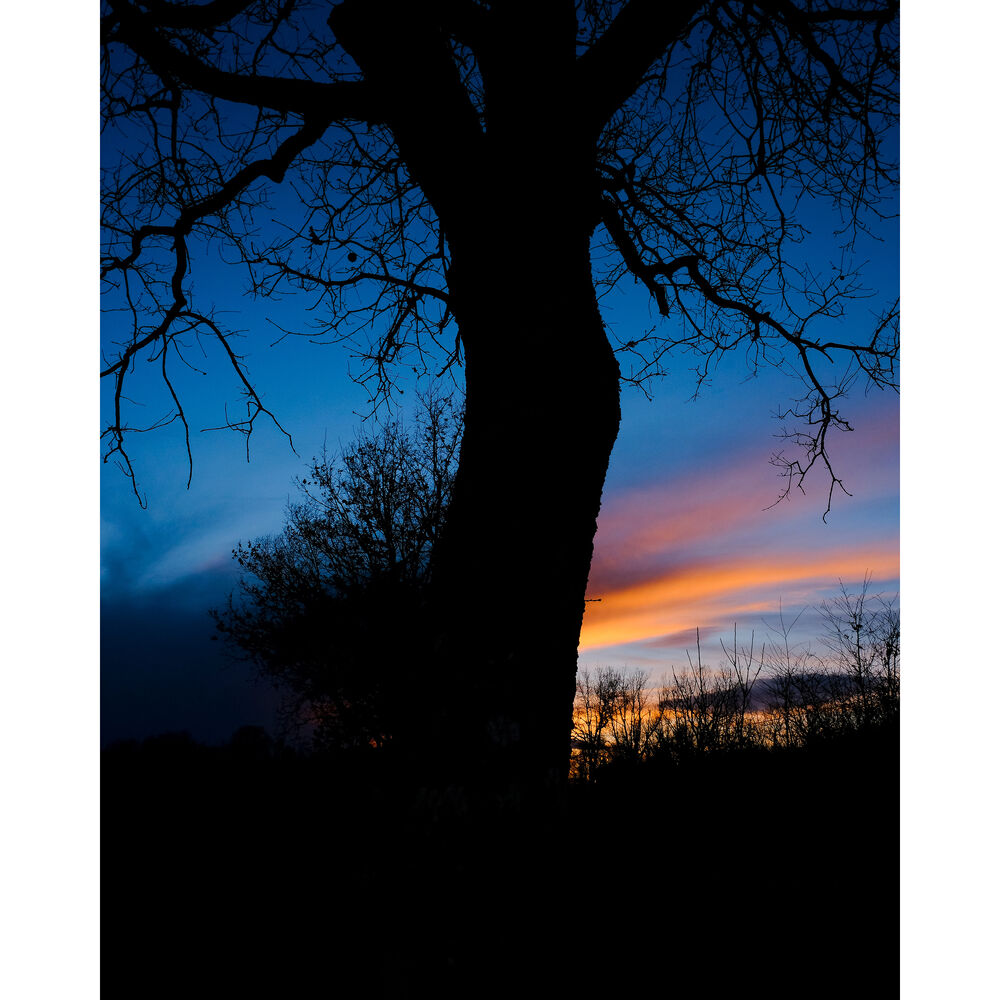 FUJIFILM X-T50 Mirrorless Camera with XC 15-45mm f/3.5-5.6 Lens (Silver)