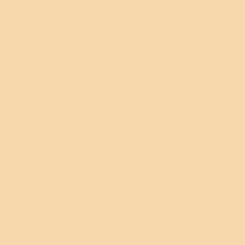 Visico Widetone Seamless Background Paper #33 (Beige)