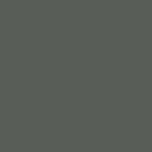 Visico Widetone Seamless Background Paper #57 (Gray)