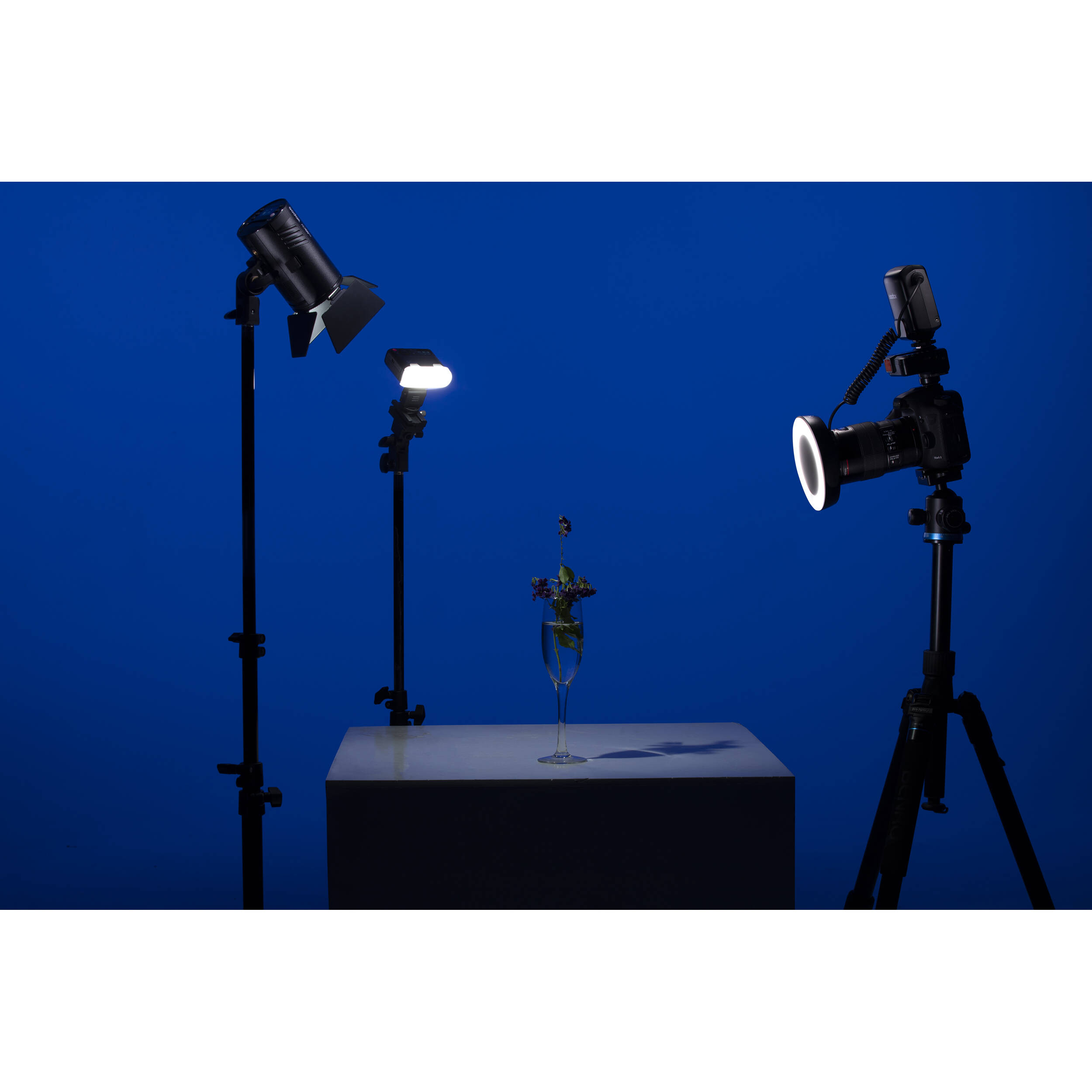 Godox ML-150 II Macro Ring Flash - Image 12