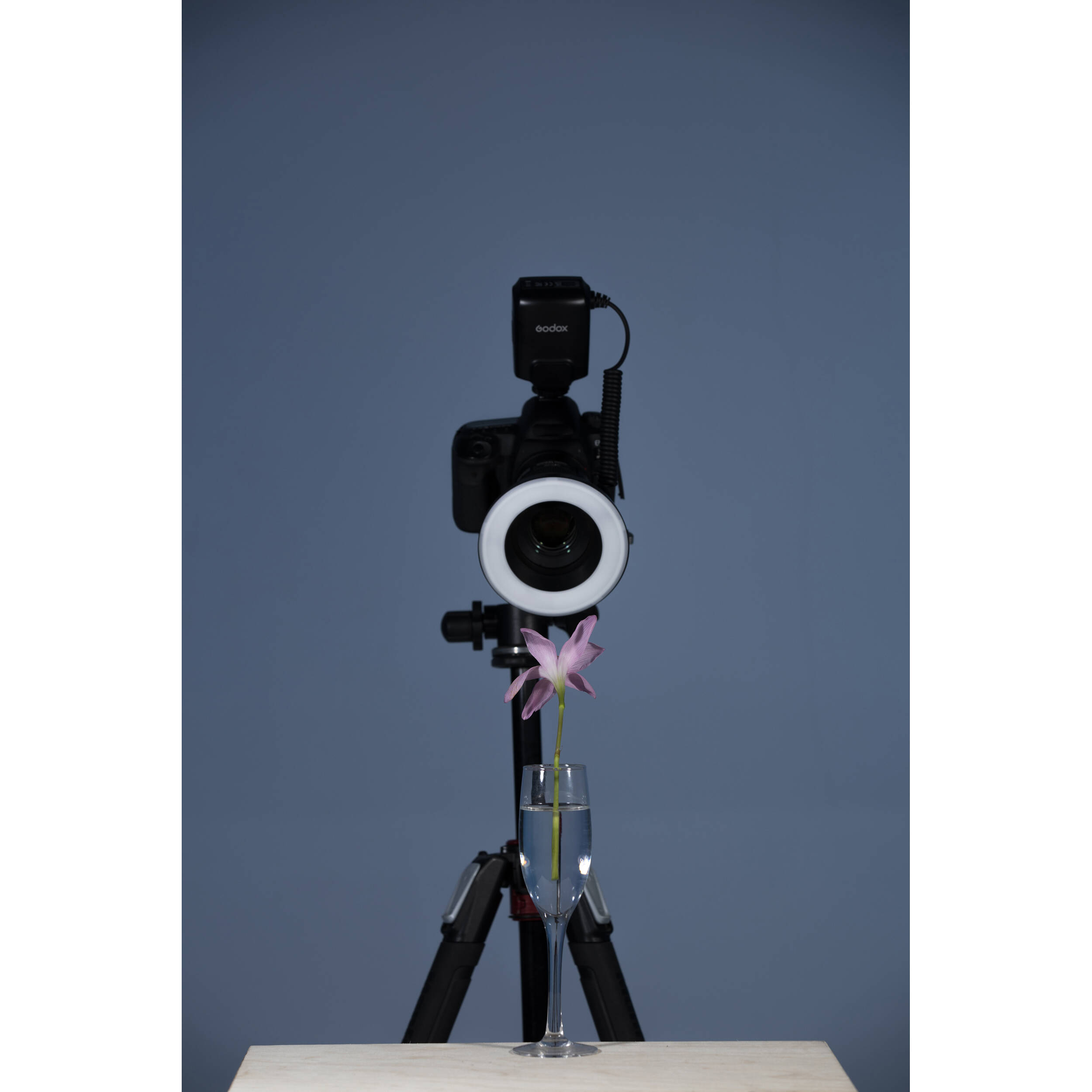 Godox ML-150 II Macro Ring Flash - Image 14